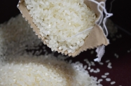 Indija ograničava izvoz riže