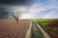 Ekstremne vremenske prilike nakodile talijanskoj poljoprivrednoj proizvodnji u 2023.